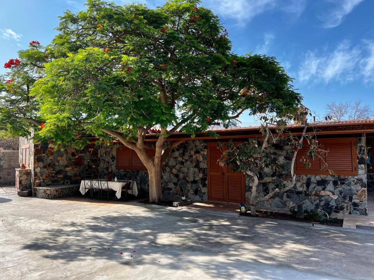 Casa Rural La Limera Con Piscina Privada Santa Lucia エクステリア 写真