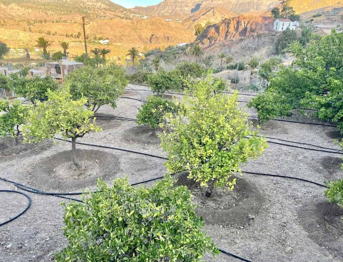 Casa Rural La Limera Con Piscina Privada Santa Lucia エクステリア 写真